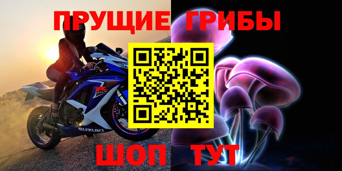 Галлюциногенные грибы прущие грибы Петропавловск-Камчатский